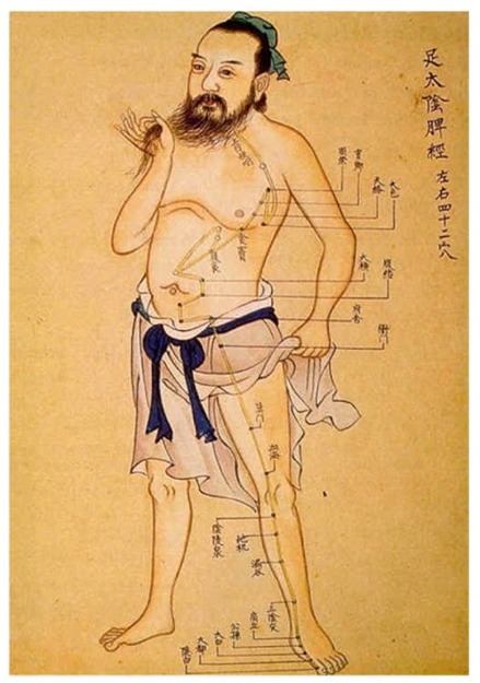 Acupuncture and Moxibustion